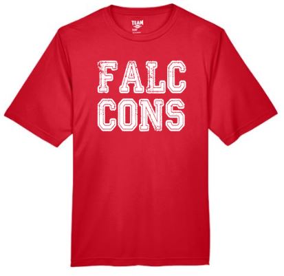 . FALCONS Polyester Unisex Tee.