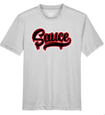 .Sauce silver Dry Fit Short Sleeve.